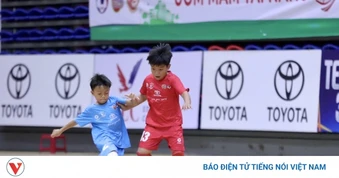 Lịch thi đấu và trực tiếp bóng đá Việt Nam hôm nay 14/8
