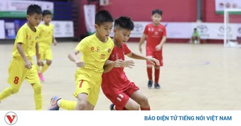 Lịch thi đấu và trực tiếp bóng đá Việt Nam hôm nay 21/8