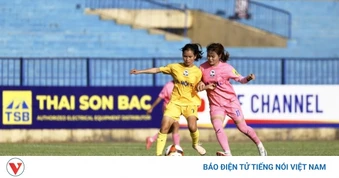 Lịch thi đấu và trực tiếp bóng đá Việt Nam hôm nay 24/6
