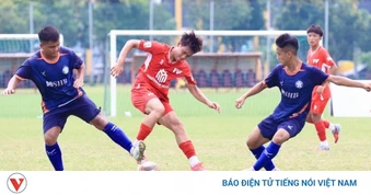 Lịch thi đấu và trực tiếp bóng đá Việt Nam hôm nay 3/6