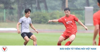 Lịch thi đấu và trực tiếp bóng đá Việt Nam hôm nay 8/7: ĐT Việt Nam tranh tài