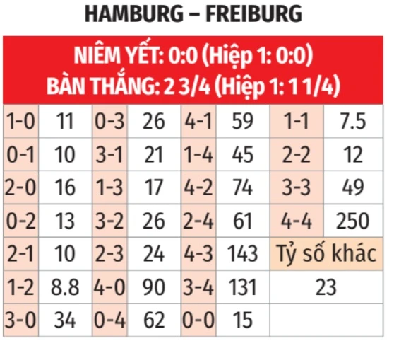 Nhận định bóng đá Hamburg vs Freiburg, 20h30 ngày 10/5: Trận cầu giải trí! Nhận định bóng đá Hamburg vs Freiburg, 20h30 ngày 10/5: Trận cầu giải trí!