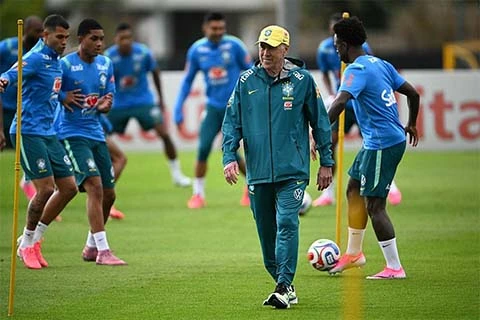 Carlo Ancelotti và cuộc cách mạng đưa Brazil trở lại đỉnh cao Carlo Ancelotti và cuộc cách mạng đưa Brazil trở lại đỉnh cao