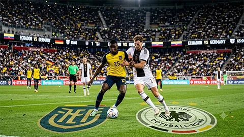 Ecuador vs Đức: Cập nhật những thông tin mới nhất