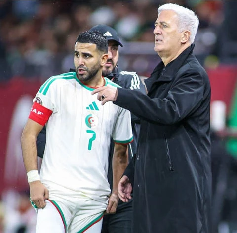 Jordan vs Algeria: Đội hình dự kiến, thông tin lực lượng mới nhất Jordan vs Algeria: Đội hình dự kiến, thông tin lực lượng mới nhất