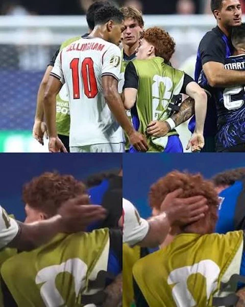 Lộ nguyên nhân Bellingham tát cầu thủ Argentina sau trận thua của Anh Lộ nguyên nhân Bellingham tát cầu thủ Argentina sau trận thua của Anh