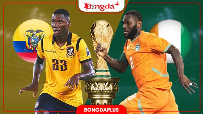 Nhận định bóng đá Ecuador vs Bờ Biển Ngà, 06h00 ngày 15/6: Voi rừng gặp bê tông Nhận định bóng đá Ecuador vs Bờ Biển Ngà, 06h00 ngày 15/6: Voi rừng gặp bê tông
