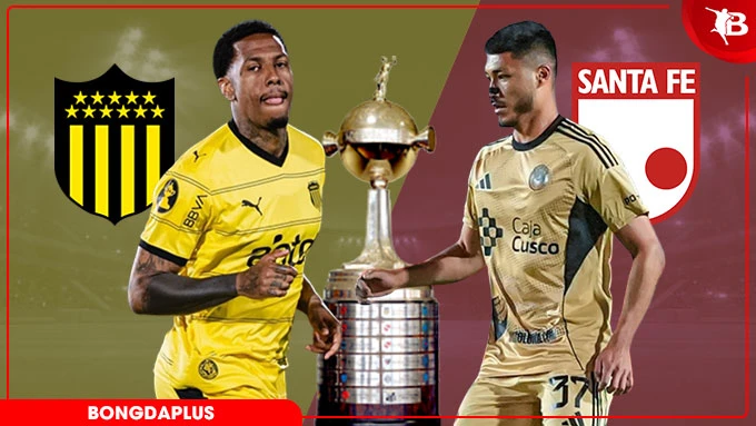 Nhận định bóng đa Penarol vs Santa Fe, 07h00 ngày 28/5: Chủ nhà buông xuôi Nhận định bóng đa Penarol vs Santa Fe, 07h00 ngày 28/5: Chủ nhà buông xuôi