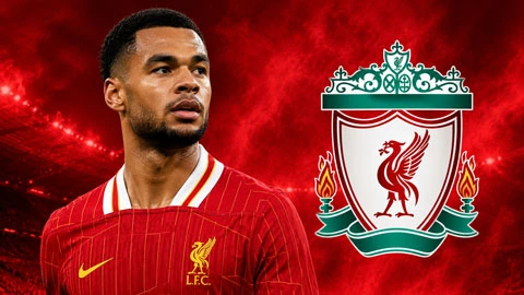 Tin giờ chót 10/8: Liverpool sẵn sàng bán Gakpo Tin giờ chót 10/8: Liverpool sẵn sàng bán Gakpo