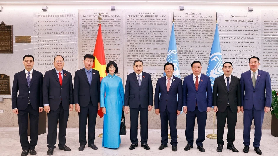 [Ảnh] Chủ tịch Quốc hội gặp Tổng Giám đốc Tổ chức Lương thực và Nông nghiệp Liên hợp quốc