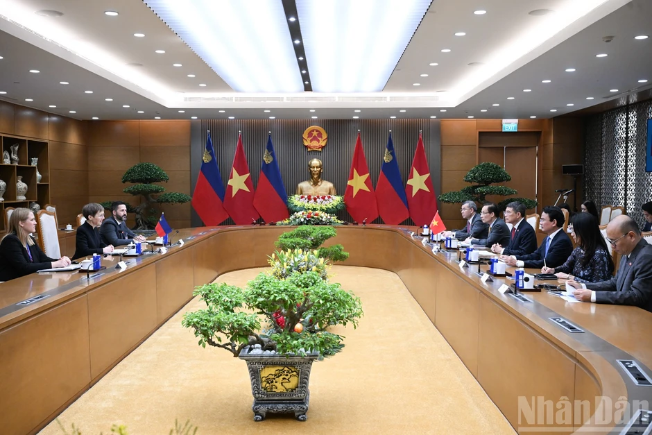 [Ảnh] Thủ tướng Lê Minh Hưng hội đàm với Thủ tướng Công quốc Liechtenstein Brigitte Haas