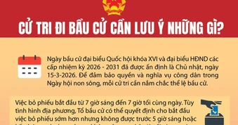 [Infographic] Cử tri đi bầu cử cần lưu ý những gì?