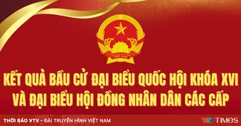 [Infographic] Kết quả bầu cử đại biểu Quốc hội khóa XVI và đại biểu HĐND các cấp