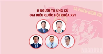 [Infographic] Năm người tự ứng cử đại biểu Quốc hội khóa XVI