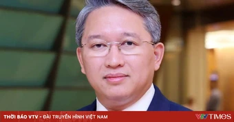 [Infographic] Tiểu sử tóm tắt Chánh Văn phòng Trung ương Đảng Nguyễn Hải Ninh