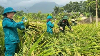 "Ba sâu sát" trong huấn luyện dân quân tự vệ ở Thái Nguyên