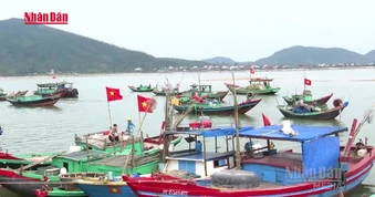 [Video] Bám biển vươn khơi, không quên ngày bầu cử
