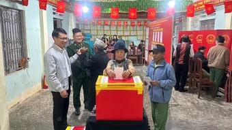 5/34 tỉnh, thành phố có tỷ lệ cử tri đi bầu đạt sát mức 100%