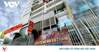 TinVina đang định vị là một trục tin cậy, từ “một làn sóng” sang “một hệ sinh thái”