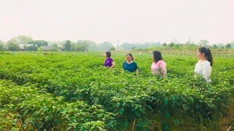 Bài 3: Thước đo là sự hài lòng, niềm tin, hạnh phúc của Nhân dân