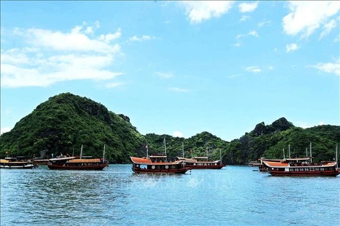 Bài viết của Tổng Bí thư, Chủ tịch nước Tô Lâm: Vì một nền văn minh sinh thái, một Việt Nam xanh và một đại dương hòa bình, bền vững Bài viết của Tổng Bí thư, Chủ tịch nước Tô Lâm: Vì một nền văn minh sinh thái, một Việt Nam xanh và một đại dương hòa bình, bền vững