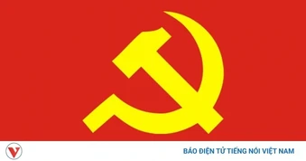 Ban Bí thư xem xét, thi hành kỷ luật đảng viên vi phạm
