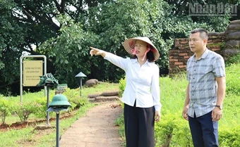 Bảo đảm tinh gọn đầu mối, nâng cao chất lượng phục vụ