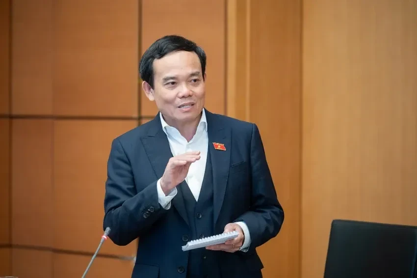 Bí thư Thành ủy TP Hồ Chí Minh làm Trưởng ban Ban Chỉ đạo xây dựng Luật Đô thị đặc biệt Bí thư Thành ủy TP Hồ Chí Minh làm Trưởng ban Ban Chỉ đạo xây dựng Luật Đô thị đặc biệt