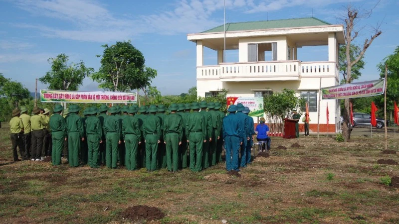 Bộ đội Biên phòng tỉnh Đắk Lắk phát động Tết trồng cây “Đời đời nhớ ơn Bác Hồ” Bộ đội Biên phòng tỉnh Đắk Lắk phát động Tết trồng cây “Đời đời nhớ ơn Bác Hồ”
