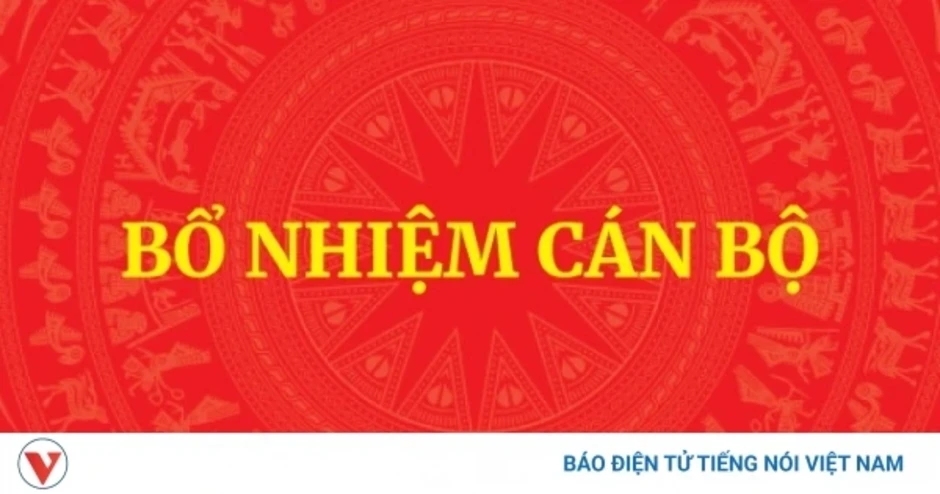 Bổ nhiệm Trợ lý Thủ tướng, Phó Thủ tướng Thường trực Chính phủ