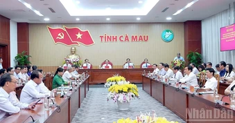 Cà Mau thành lập 2 đảng bộ trực thuộc Tỉnh ủy
