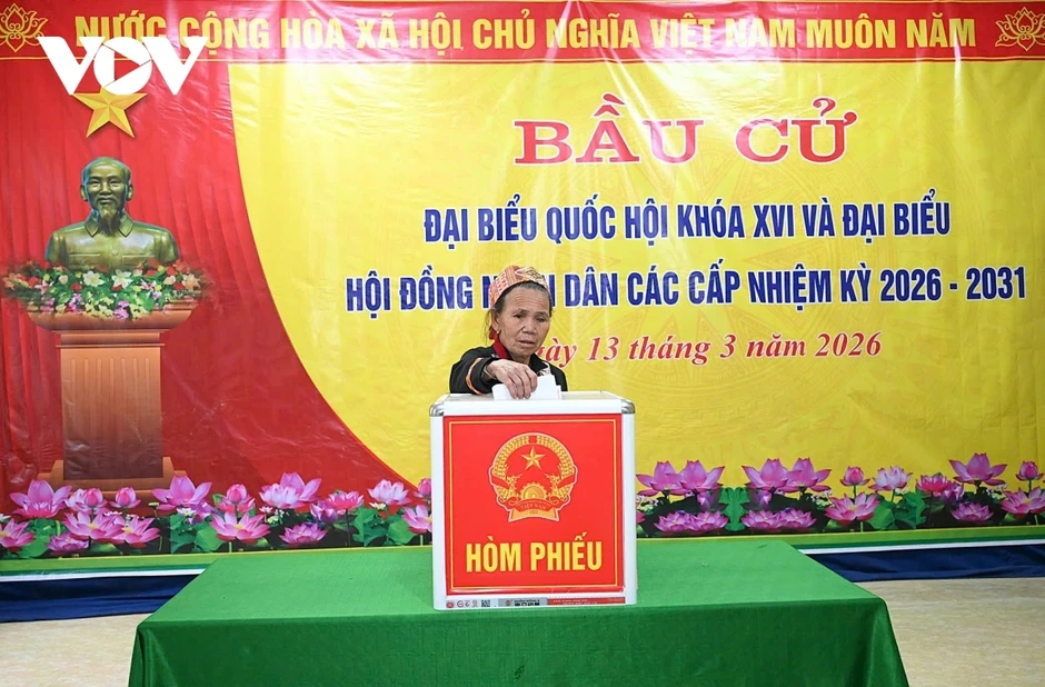 Các khu vực bầu cử sớm ở Nghệ An có 99,62% cử tri bỏ phiếu Các khu vực bầu cử sớm ở Nghệ An có 99,62% cử tri bỏ phiếu