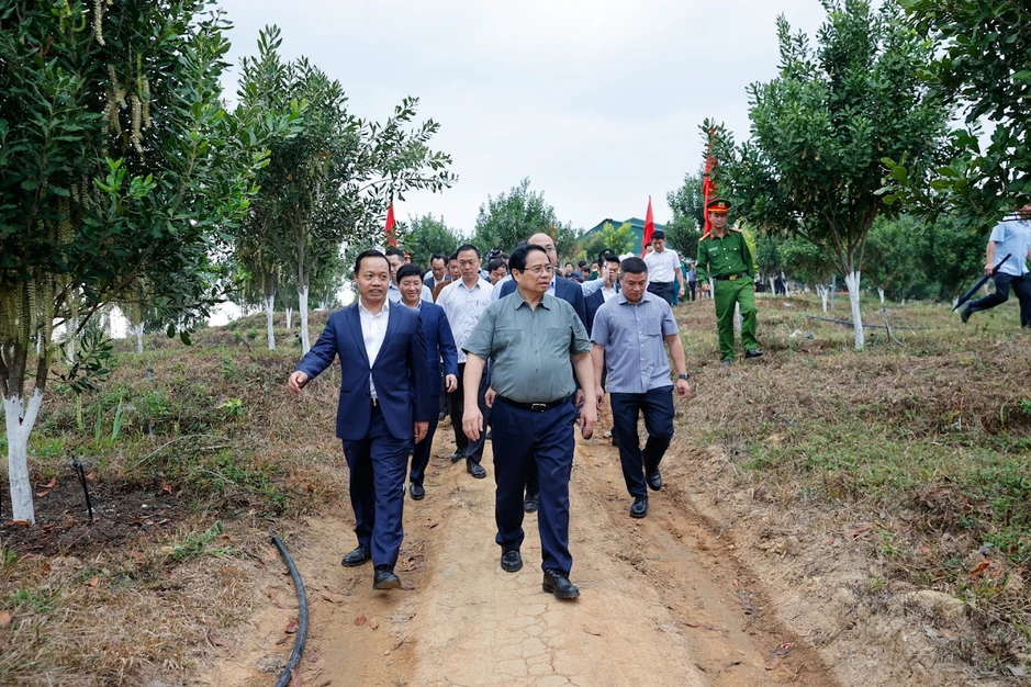 Cần biến núi rừng Tây Bắc trùng điệp thành của cải vật chất Cần biến núi rừng Tây Bắc trùng điệp thành của cải vật chất