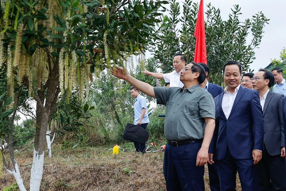 Cần biến núi rừng Tây Bắc trùng điệp thành của cải vật chất Cần biến núi rừng Tây Bắc trùng điệp thành của cải vật chất