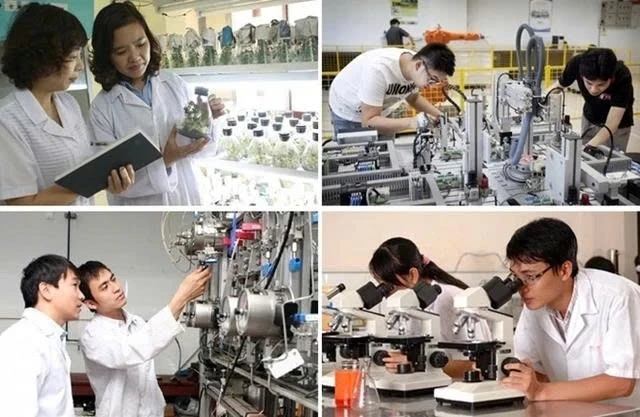 Cần tạo thêm những “đường băng” có tính đột phá cho nhà khoa học trẻ Cần tạo thêm những “đường băng” có tính đột phá cho nhà khoa học trẻ