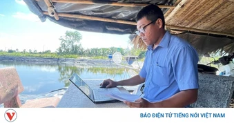 Cần Thơ: Cán bộ trẻ lan tỏa chuyển đổi số từ cơ sở