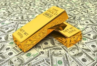Chính phủ ban hành Nghị định quy định xử phạt vi phạm hành chính trong lĩnh vực hải quan