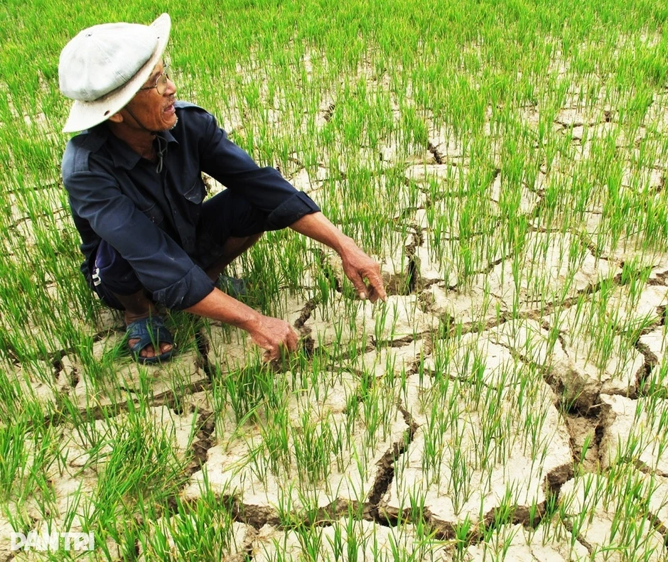 Chính phủ ưu tiên bố trí ngân sách chống sạt lở, xâm nhập mặn ở ĐBSCL Chính phủ ưu tiên bố trí ngân sách chống sạt lở, xâm nhập mặn ở ĐBSCL