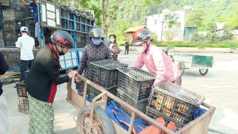 Chính quyền 2 cấp tại Quảng Trị hoạt động thông suốt, từng bước đi vào ổn định Chính quyền 2 cấp tại Quảng Trị hoạt động thông suốt, từng bước đi vào ổn định