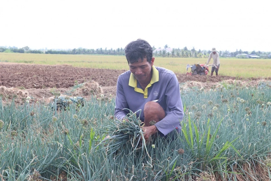 Chính sách tiếp sức đồng bào Khmer vươn lên Chính sách tiếp sức đồng bào Khmer vươn lên