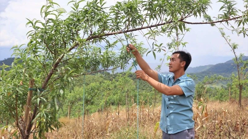 Chuẩn hóa đội ngũ cán bộ cơ sở