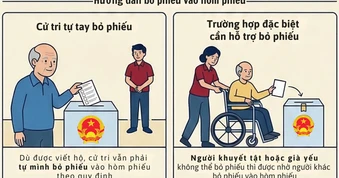 Cử tri có được nhờ người khác viết và bỏ hộ phiếu bầu cử?