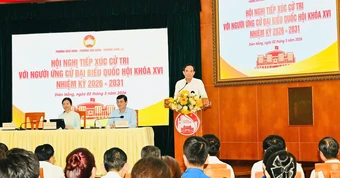 Cử tri mong muốn TPHCM phát triển nhà ở xã hội, nhà cho thuê giá rẻ
