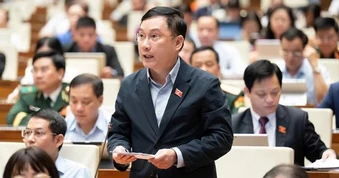 Đại biểu Quốc hội: Tín dụng "chảy" vào bất động sản đầu cơ