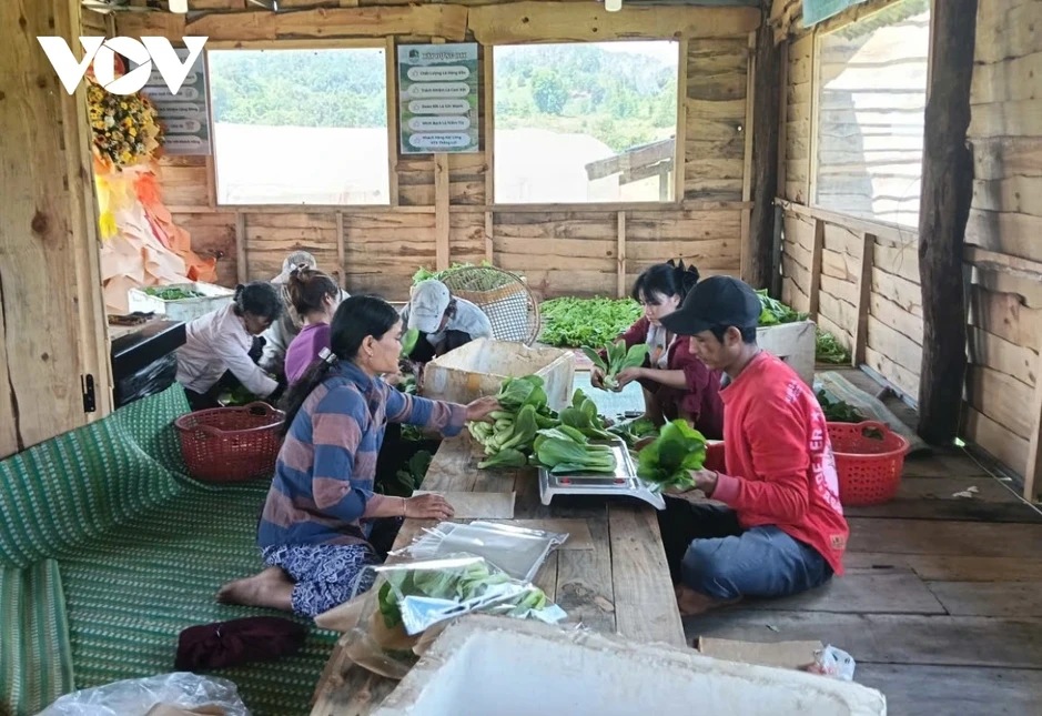 Đảng viên nói là làm, tạo chuyển biến ở Măng Đen Đảng viên nói là làm, tạo chuyển biến ở Măng Đen
