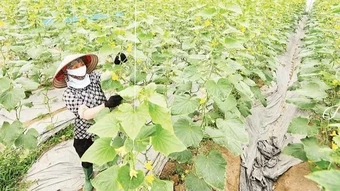 Đặt bảo vệ môi trường vào vị trí trung tâm các quyết định phát triển