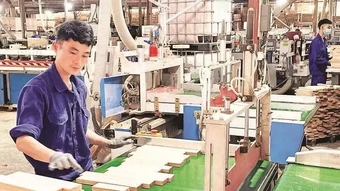Đẩy mạnh công tác phát triển Đảng trong doanh nghiệp ngoài khu vực nhà nước
