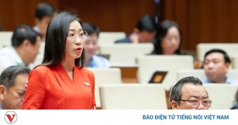 ĐBQH: Còn tình trạng lạm dụng “bí mật nhà nước” hạn chế quyền tiếp cận thông tin