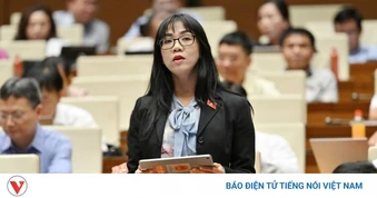 ĐBQH đề xuất nhiều giải pháp hoàn thiện Luật phòng chống vũ khí hủy diệt hàng loạt