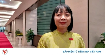 ĐBQH kỳ vọng bộ máy lãnh đạo mới sẽ phản ứng nhanh, kịp thời với chính sách
